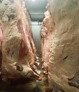 Sides_and_quarters_of_beef_available_1_320x375 prime rib